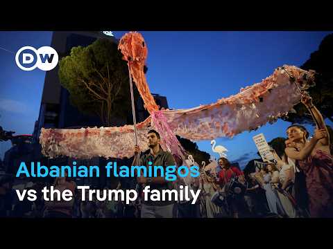 'Pink Flamingo' protesters in Tirana demand resignation of PM Edi Rama | DW News