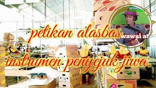 Download lagu INSTRUMEN KLASIK LAMPUNG ABUNG ALAS_BASS @1| PETIKAN guitar KOSONG TANPA VOKAL | PN WAWAI ATEI mp3