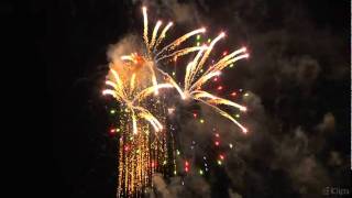 15 Moth-moe.down.XI.2010-09-05