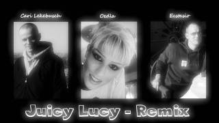 Cari Lekebusch & Oedla Vs Ecstasio - Juicy Lucy (Remix)