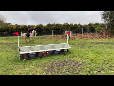Tweseldown XC Schooling 15/03/20