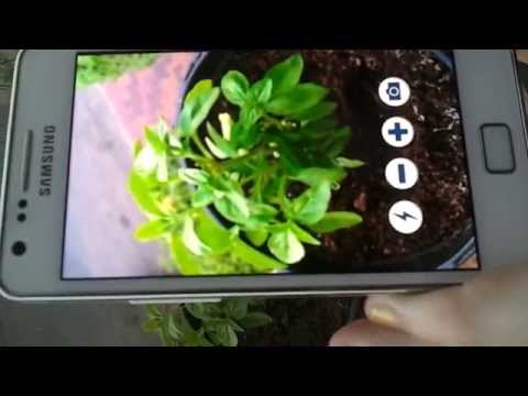 camera zoom free Video