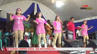 Download lagu NEW KOPLAK DAVISA GUNUNGSARI MALAM mp3