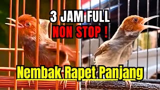 Download lagu 🔴 NEMBAK 3 JAM FULL NON STOP‼️ MASTERAN TERBARU PRENJAK TAMU SUARA PIKATAN JERNIH PALING AMPUH #094 mp3 Download lagu 🔴 NEMBAK 3 JAM FULL NON STOP‼️ MASTERAN TERBARU PRENJAK TAMU SUARA PIKATAN JERNIH PALING AMPUH #094 mp3