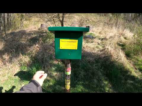 Stempelstelle 203 Schutzhütte am Mettenberg - Harzer Wandernadel