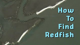 How to Find Redfish