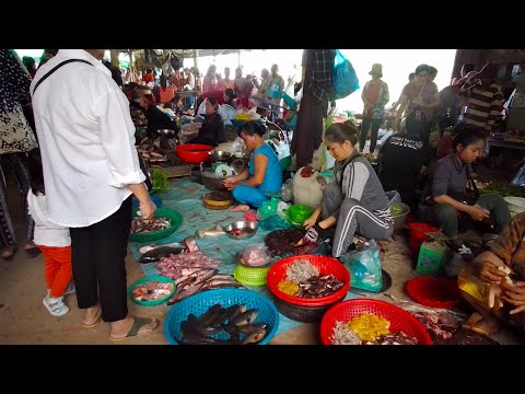 Praek Eng Market Food Show - Natural Living In Cambodian Market Part 5