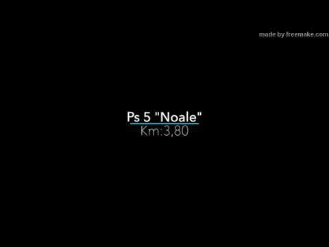 17° Rally Città di Scorzè 2020 | onboard Petozzi/Moruzzi | PS 5 NOALE