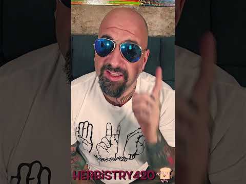 You You're Good You — 5 Signs You're Too High for the Mirror