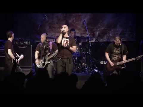 RISE TO FALL - Decoding Reality OFFICIAL Live VIDEO