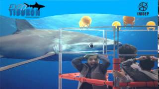 DIA 2 Expo Tiburon179