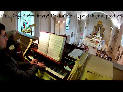 JKS 290 - Telo Krista a Krv svätá