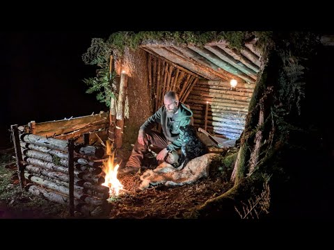 How to Build an Effective Primitive Survival Shelter  in 1 Day