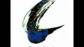 Capercaillie - Dean Cadalan Sàmhach/ Servant to the Slave with lyrics in description