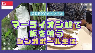 知ってた？【シンガポール政府公認マーライオンは全部で何頭??】シンガポール政府観光局のマーライオンを見てローカル料理を堪能