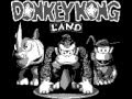 Donkey Kong Land GB 100 Longplay No Damage