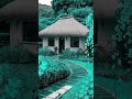 Beautiful Nature Shorts Nature Amazingnature Beautiful Shorts Short Music