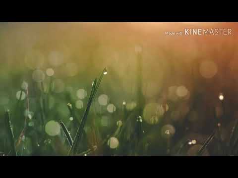 Pøla x apu - fiatalon