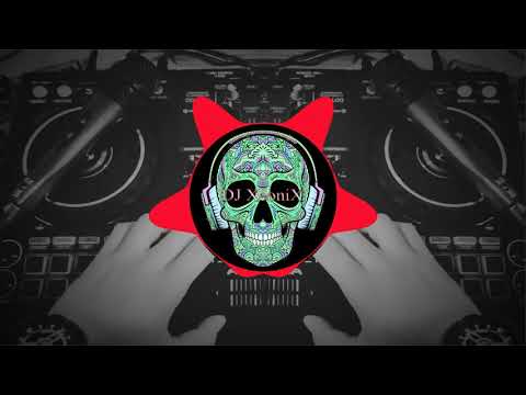 Ariqu dismay & Funk do Açaí &  Dj XeoniX mashup, Bootleg
