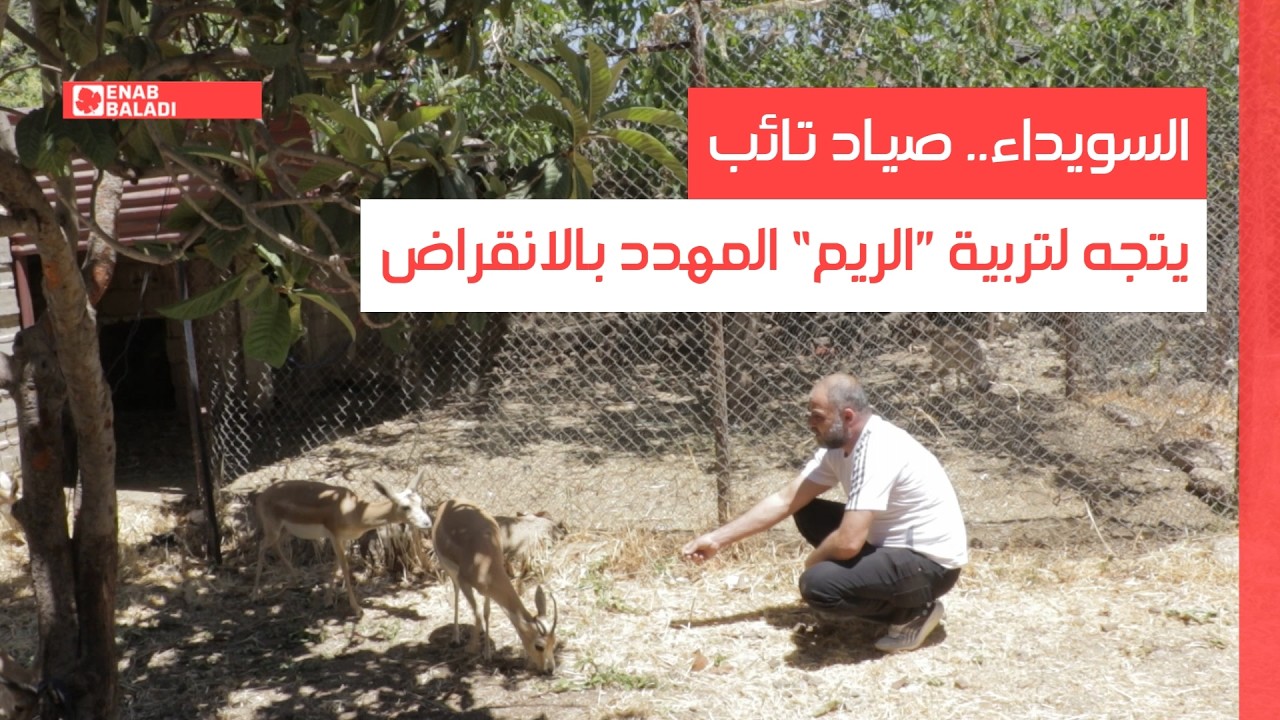 السويداء.. صياد تائب يتجه لتربية ”الريم“ المهدد بالانقراض