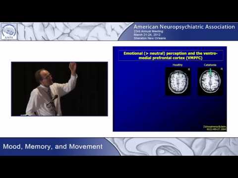 Dr. Georg Northoff talks about catatonia