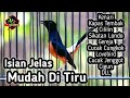 MASTERAN MURAI BATU FULL ISIAN TEMBAKAN CILILIN KENARI KAPAS TEMBAK CUNGKOK GEREJA LOVEBIRD JENGGOT