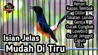 Download lagu MASTERAN MURAI BATU FULL ISIAN TEMBAKAN CILILIN KENARI KAPAS TEMBAK CUNGKOK GEREJA LOVEBIRD JENGGOT mp3