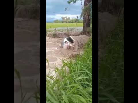 Rescate en la ruta nacional 68 #shorts #lamerced #salta