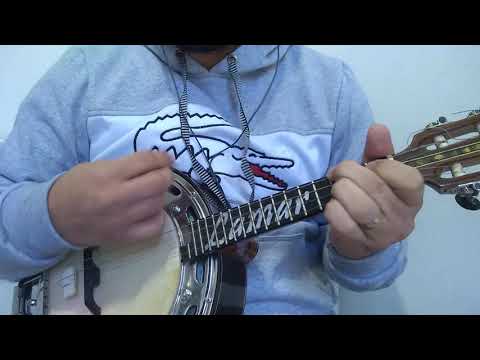 Se Vira - Beth Carvalho
