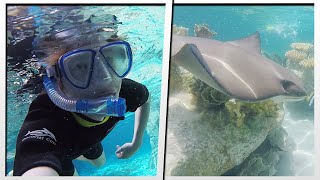 UNDERWATER ADVENTURE AT DISCOVERY COVE