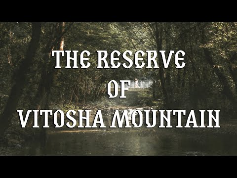 How I ventured through the reserve of Vitosha mountaion in 4K | Travel