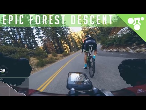 EPIC FOREST ROAD BIKE DESCENT (3,600ft | 1,110m)