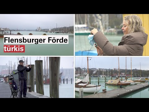Seltenes Naturschauspiel – Flensburger Förde färbt sich türkis
