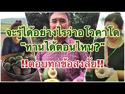 น้ำผึ้งกระเทียมแรง เธอเปิดทารกวิดีโอ