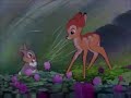 Bambi Welcome
