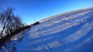Смотреть онлайн Охота на зайца зимой по снегу с собакой