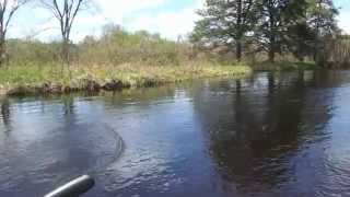 preview picture of video 'May Float Trip Fly Fishing for Smallmouth Bass on Namekagon River'