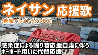 動画を再生