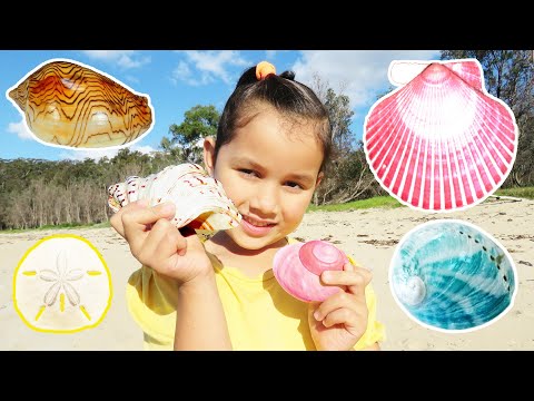 Zoe Collecting Seashells On The Beach Fun Outdoor Activity