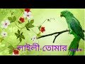 Laili Tomar Eshese Firiya লাইলী তোমার এসেছে ফিরিয়া By F