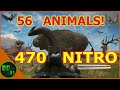HUNTING EVERY ANIMAL IN THE GAME 2021 Edition Call Of The Wild