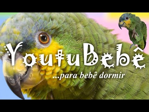 Pique Surpresa - Youtubebê  (para bebês)