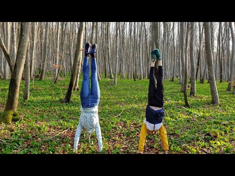 Insaja Monday Flow 27.04.20, 19.-20.15 Uhr