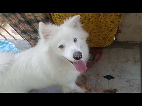 when he gets something 😱😱🙉