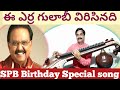 SPB Birthday Special Ee Erra Gulabi Virisinadi Instrumental Song By Veena Srinivas
