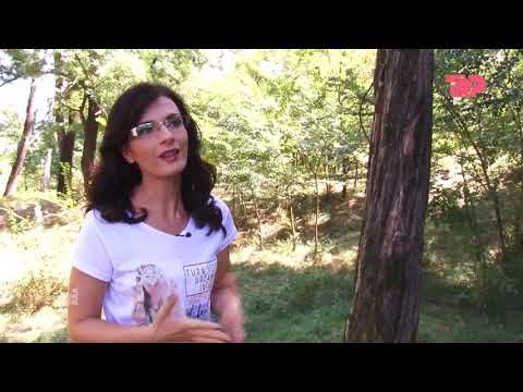 Bimët medicinale - Murrizi - Në Shtëpine Tonë, 25 Shtator 2018, Pjesa 3