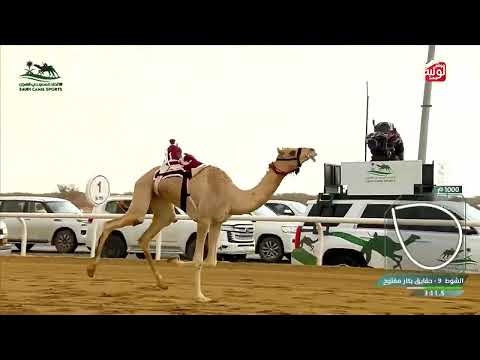  ش 9 غزيل لـ سلطان سعيد أحمد إبراهيم 4:53:91 ، كأس الاتحاد السعودي 2026/10/01  الطايف حقايق 