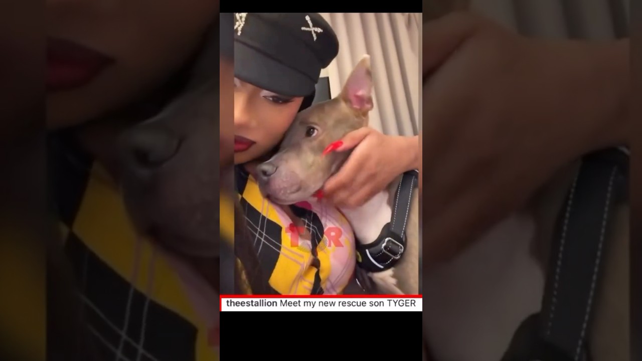 Meg Thee Stallion Shows Off Her New Fur Son! 🐶 #celebrity #dogs