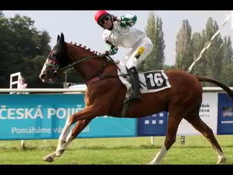 Úžasný ryzák.....Rabbit Well :*