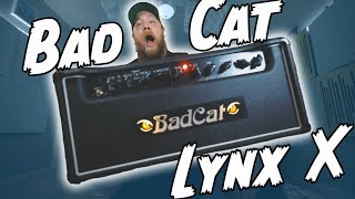 Video thumbnail for KILLER AMP, KILLER PRICE! Bad Cat Lynx X! by Riffs, Beards & Gear